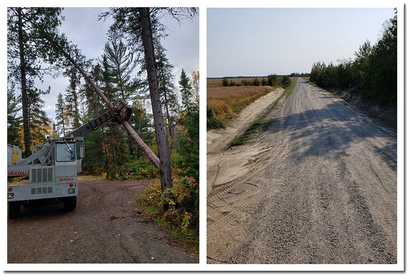 Tree removeal in Temiskaming Shores